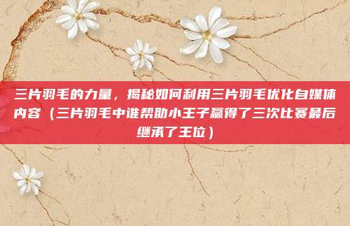 三片羽毛的力量，揭秘如何利用三片羽毛优化自媒体内容（三片羽毛中谁帮助小王子赢得了三次比赛最后继承了王位）