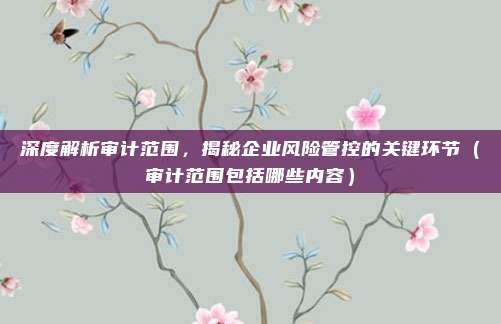 深度解析审计范围，揭秘企业风险管控的关键环节（审计范围包括哪些内容）