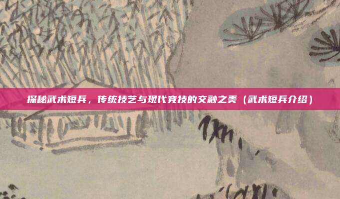 探秘武术短兵，传统技艺与现代竞技的交融之美（武术短兵介绍）