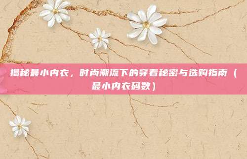 揭秘最小内衣，时尚潮流下的穿着秘密与选购指南（最小内衣码数）