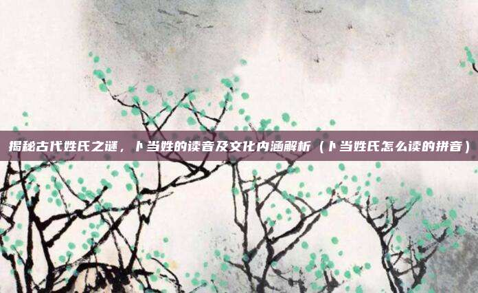 揭秘古代姓氏之谜，卜当姓的读音及文化内涵解析（卜当姓氏怎么读的拼音）