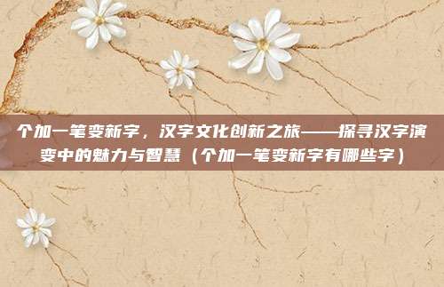 个加一笔变新字，汉字文化创新之旅——探寻汉字演变中的魅力与智慧（个加一笔变新字有哪些字）