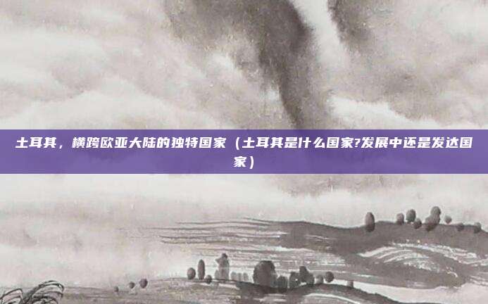 土耳其,横跨欧亚大陆的独特国家(土耳其是什么国家?发展中还是发达国家)
