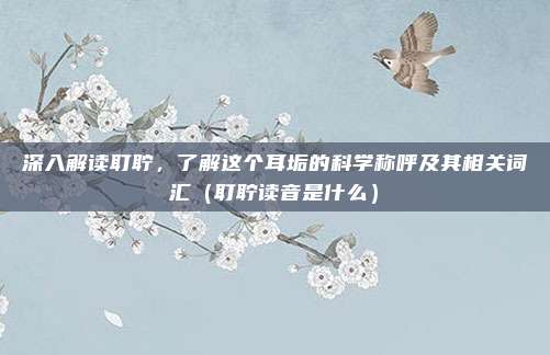 深入解读耵聍，了解这个耳垢的科学称呼及其相关词汇（耵聍读音是什么）
