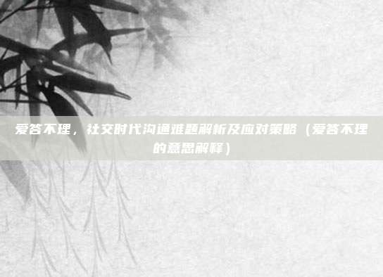 爱答不理,社交时代沟通难题解析及应对策略(爱答不理的意思解释)