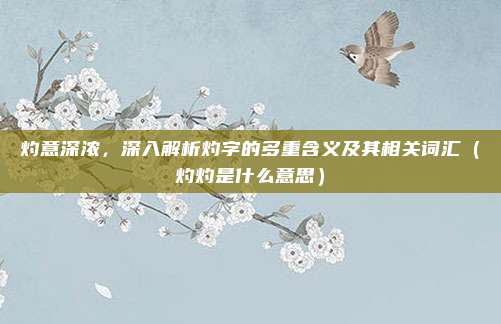 灼意深浓,深入解析灼字的多重含义及其相关词汇(灼灼是什么意思)