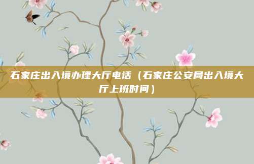石家庄出入境办理大厅电话（石家庄公安局出入境大厅上班时间）