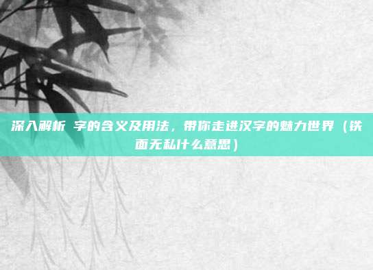 深入解析亼字的含义及用法，带你走进汉字的魅力世界（铁面无私什么意思）