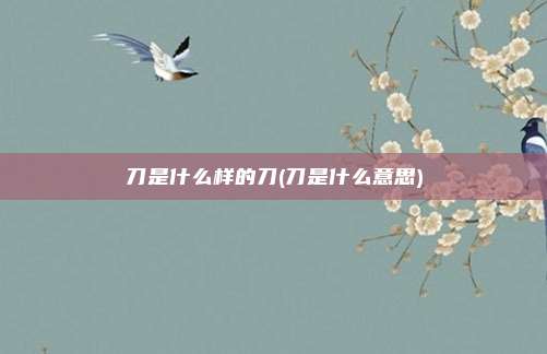 刀是什么样的刀(刀是什么意思)