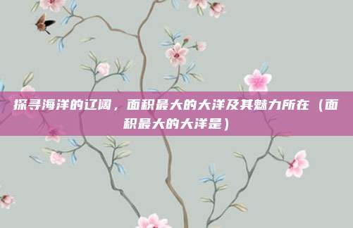 探寻海洋的辽阔,面积最大的大洋及其魅力所在(面积最大的大洋是)