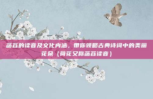 菡萏的读音及文化内涵,带你领略古典诗词中的美丽花朵(荷花又称菡萏读音)