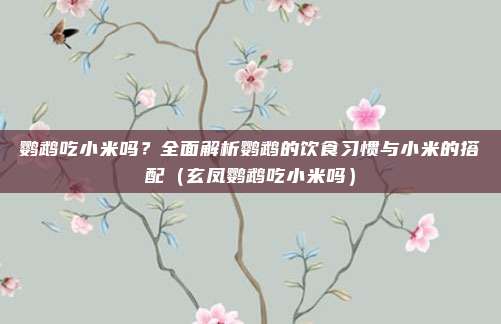 鹦鹉吃小米吗？全面解析鹦鹉的饮食习惯与小米的搭配（玄凤鹦鹉吃小米吗）