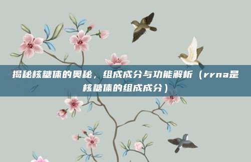 揭秘核糖体的奥秘，组成成分与功能解析（rrna是核糖体的组成成分）