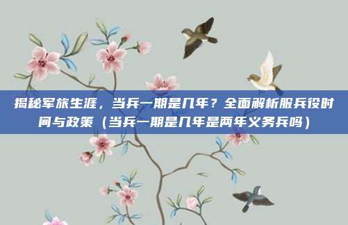 揭秘军旅生涯，当兵一期是几年？全面解析服兵役时间与政策（当兵一期是几年是两年义务兵吗）