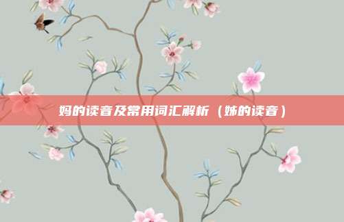 妈的读音及常用词汇解析（姊的读音）