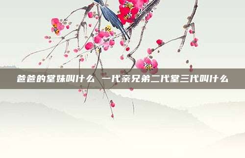 爸爸的堂妹叫什么 一代亲兄弟二代堂三代叫什么