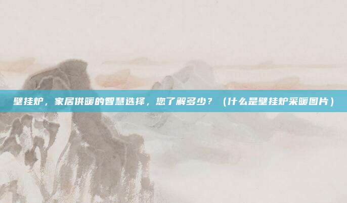 壁挂炉，家居供暖的智慧选择，您了解多少？（什么是壁挂炉采暖图片）