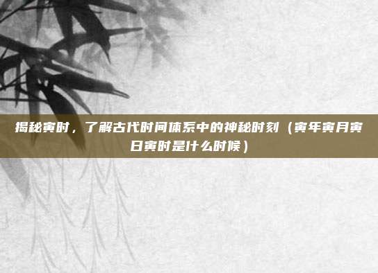 揭秘寅时，了解古代时间体系中的神秘时刻（寅年寅月寅日寅时是什么时候）