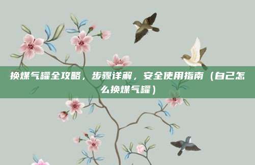 换煤气罐全攻略,步骤详解,安全使用指南(自己怎么换煤气罐)