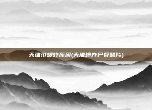 天津港爆炸原因(天津爆炸尸骨照片)