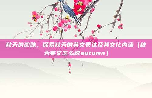 秋天的韵味,探索秋天的英文表达及其文化内涵(秋天英文怎么说autumn)