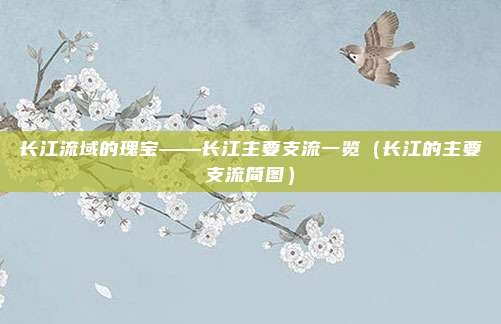 长江流域的瑰宝——长江主要支流一览(长江的主要支流简图)