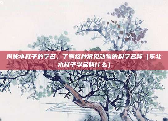 揭秘水耗子的学名，了解这种常见动物的科学名称（东北水耗子学名叫什么）