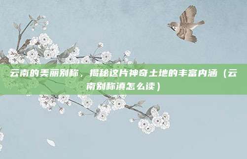 云南的美丽别称，揭秘这片神奇土地的丰富内涵（云南别称滇怎么读）