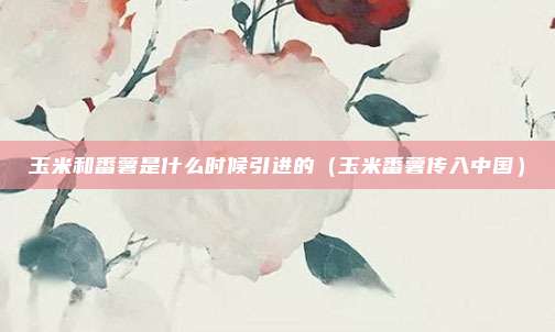玉米和番薯是什么时候引进的（玉米番薯传入中国）