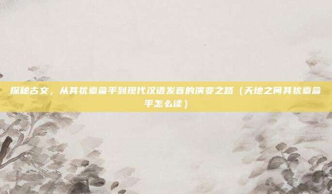 探秘古文，从其犹橐龠乎到现代汉语发音的演变之路（天地之间其犹橐龠乎怎么读）