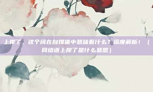 上岸了，这个词在自媒体中意味着什么？深度解析！（网络语上岸了是什么意思）
