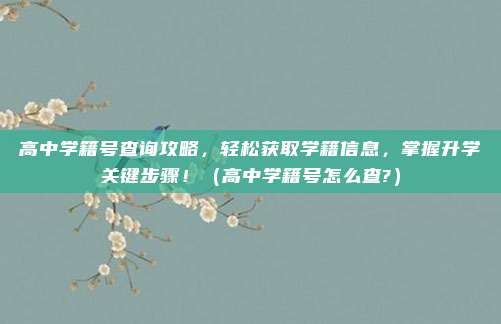 高中学籍号查询攻略，轻松获取学籍信息，掌握升学关键步骤！（高中学籍号怎么查?）