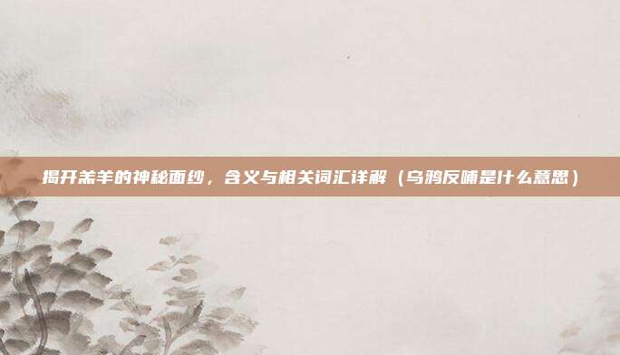 揭开羔羊的神秘面纱，含义与相关词汇详解（乌鸦反哺是什么意思）