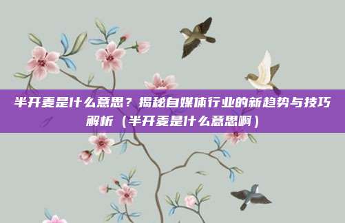半开麦是什么意思？揭秘自媒体行业的新趋势与技巧解析（半开麦是什么意思啊）