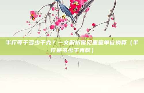 半斤等于多少千克？一文解析常见重量单位换算（半斤是多少千克啊）