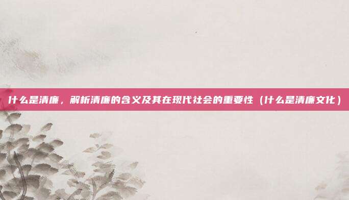 什么是清廉，解析清廉的含义及其在现代社会的重要性（什么是清廉文化）