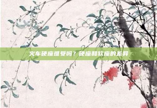 火车硬座难受吗?硬座和软座的差异