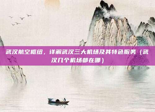 武汉航空枢纽，详解武汉三大机场及其特色服务（武汉几个机场都在哪）