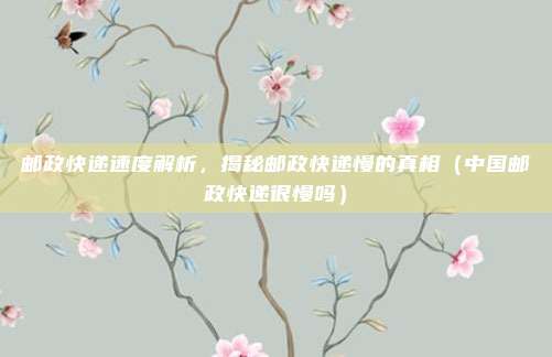 邮政快递速度解析，揭秘邮政快递慢的真相（中国邮政快递很慢吗）