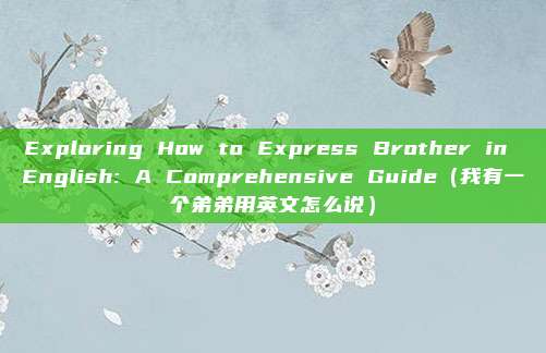 Exploring How to Express Brother in English: A Comprehensive Guide（我有一个弟弟用英文怎么说）