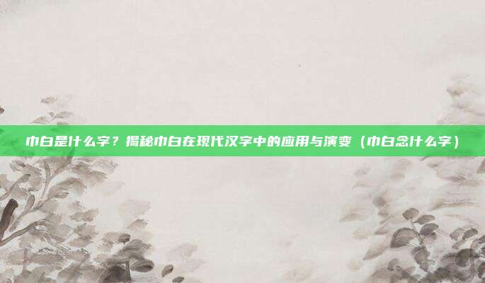 巾白是什么字?揭秘巾白在现代汉字中的应用与演变(巾白念什么字)