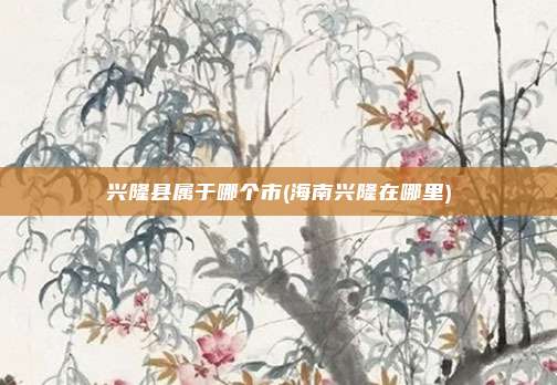兴隆县属于哪个市(海南兴隆在哪里)
