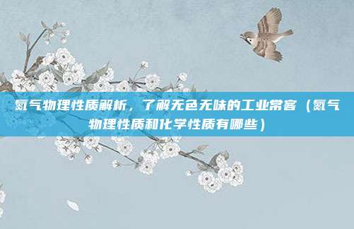 氮气物理性质解析,了解无色无味的工业常客(氮气物理性质和化学性质有哪些)