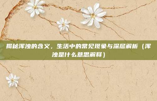 揭秘浑浊的含义，生活中的常见现象与深层解析（浑浊是什么意思解释）