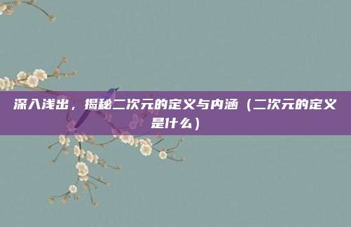 深入浅出，揭秘二次元的定义与内涵（二次元的定义是什么）