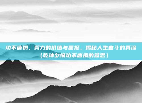 功不唐捐，努力的价值与回报，揭秘人生奋斗的真谛（乾坤夕惕功不唐捐的意思）