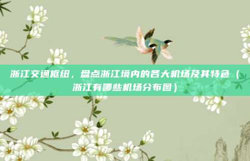 浙江交通枢纽，盘点浙江境内的各大机场及其特色（浙江有哪些机场分布图）