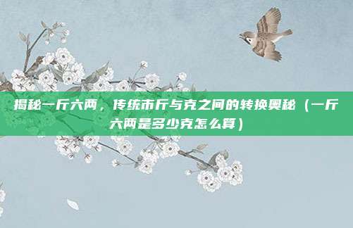 揭秘一斤六两，传统市斤与克之间的转换奥秘（一斤六两是多少克怎么算）