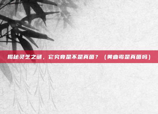 揭秘灵芝之谜，它究竟是不是真菌？（黄曲霉是真菌吗）