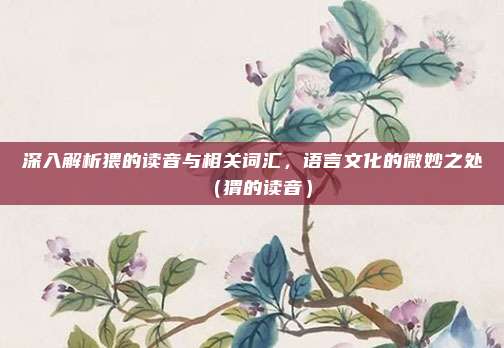 深入解析猥的读音与相关词汇，语言文化的微妙之处（猬的读音）